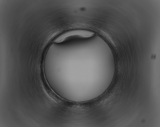 X0000095520538200801041225