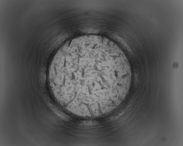 X0000095520541200801041225