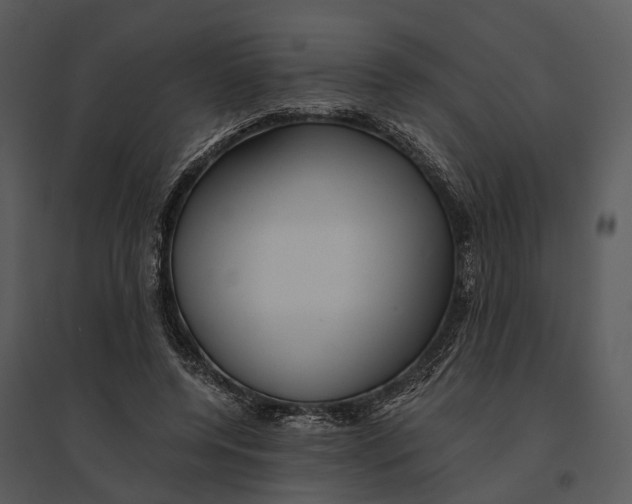 X0000095520544200801041225