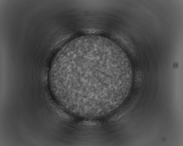 X0000095520545200801041225