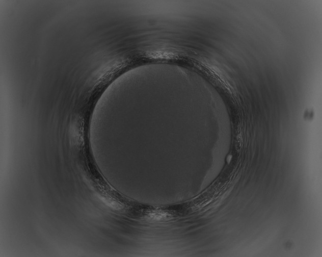 X0000095520547200801041225