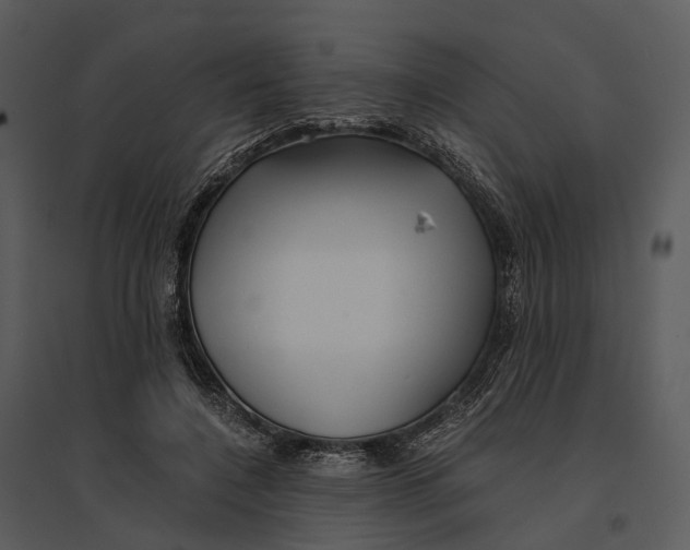 X0000095520548200801041225