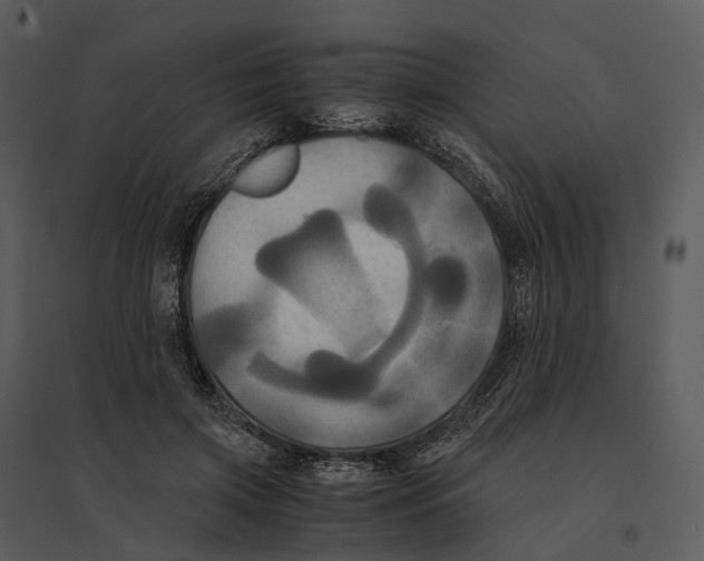 X0000095520549200801041225