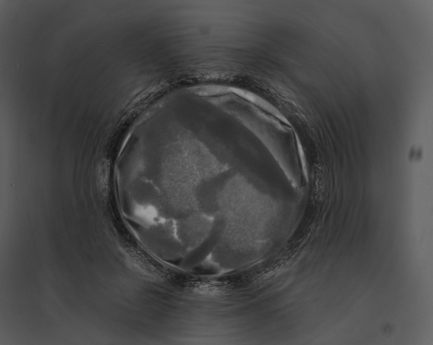 X0000095520550200801041225