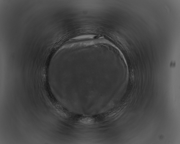 X0000095520551200801041225