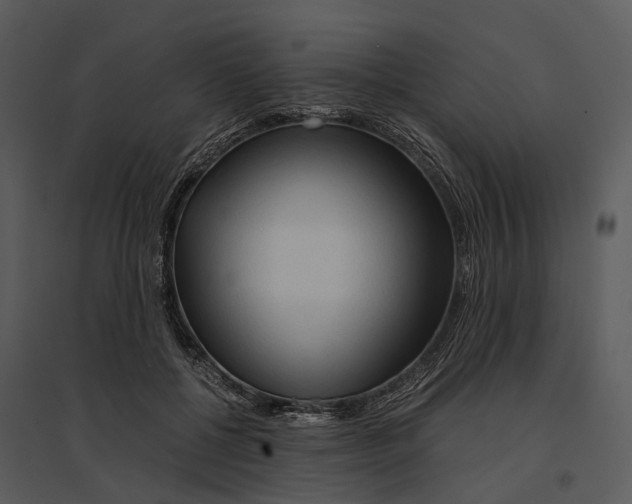 X0000095520552200801041225