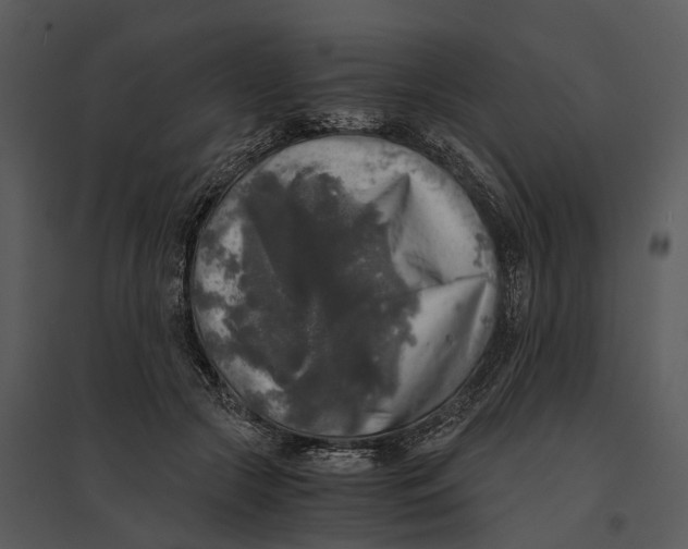 X0000095520553200801041225