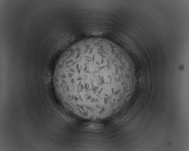 X0000095520555200801041225