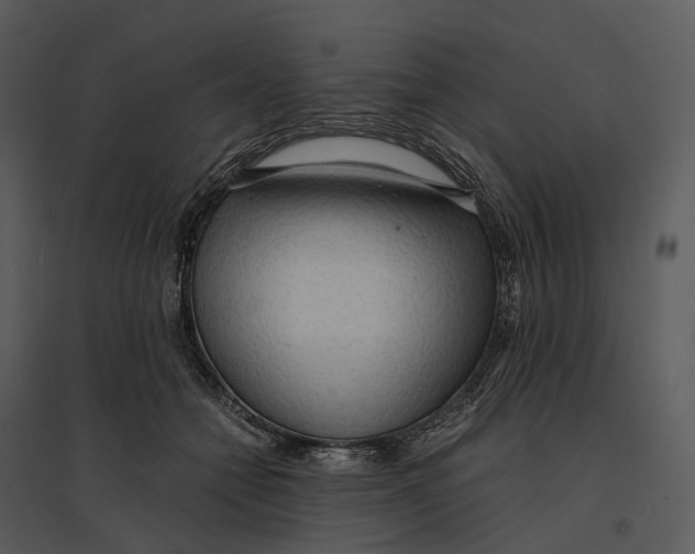 X0000095520558200801041225