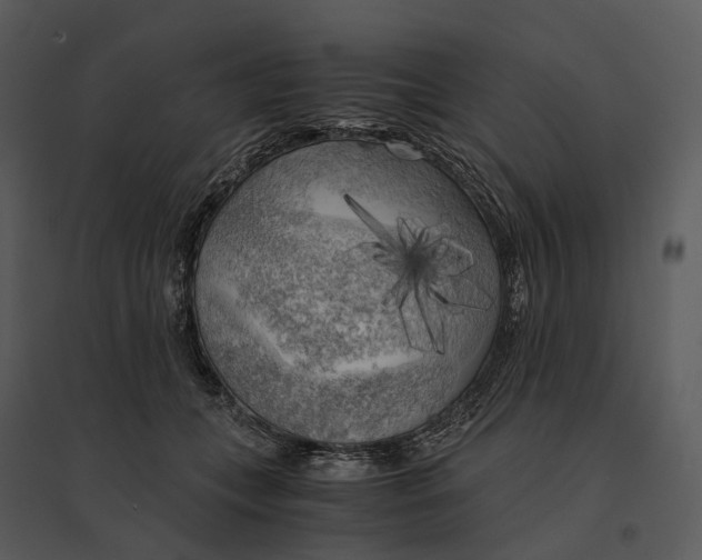 X0000095520559200801041225