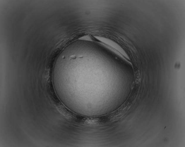 X0000095520560200801041225