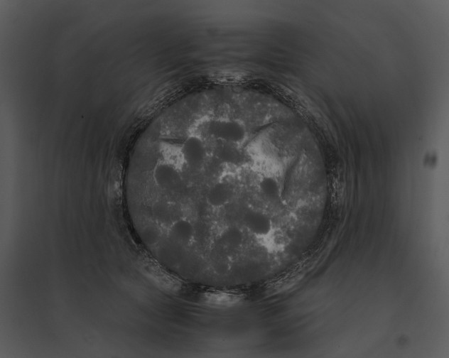 X0000095520561200801041225