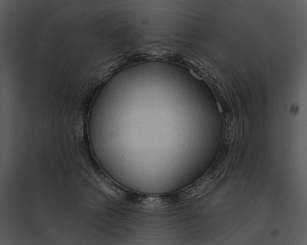 X0000095520562200801041225