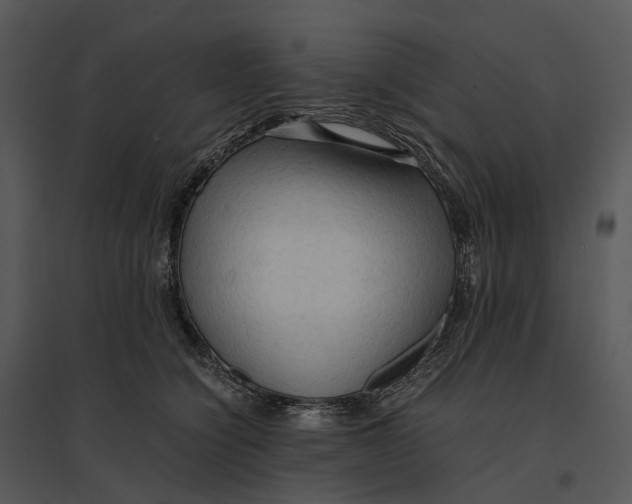 X0000095520564200801041225