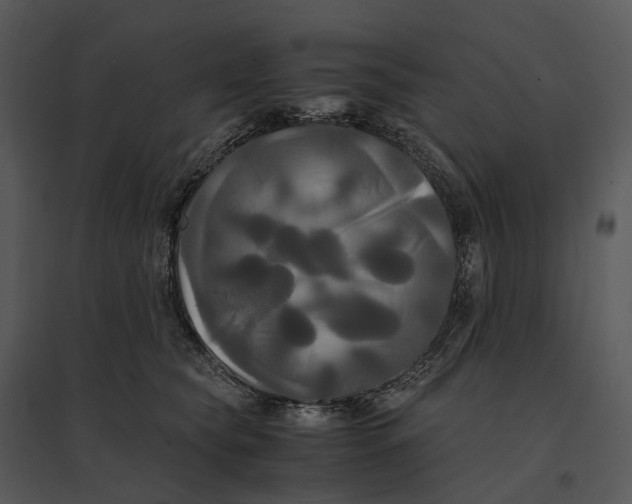 X0000095520565200801041225