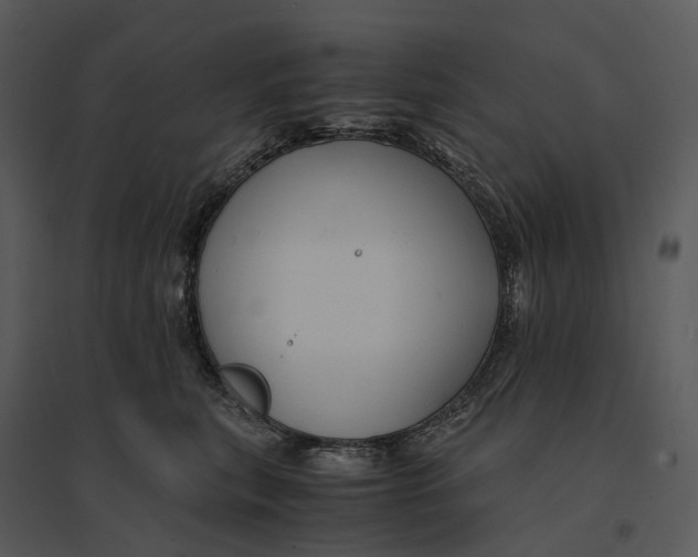 X0000095520567200801041225