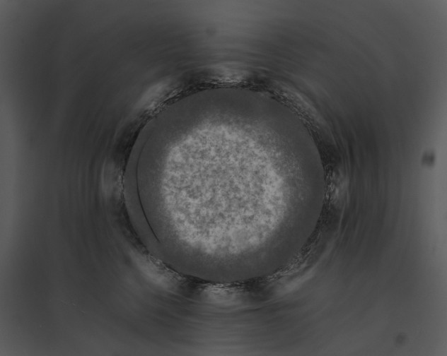 X0000095520568200801041225