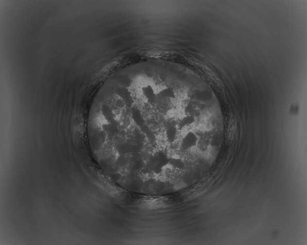 X0000095520569200801041225