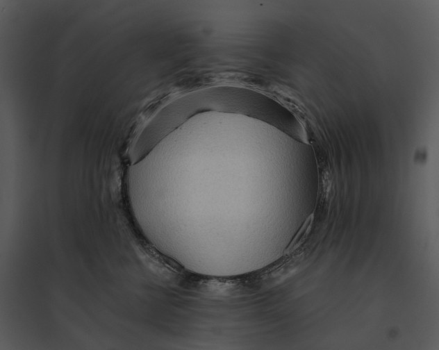 X0000095520570200801041225