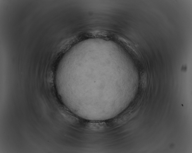 X0000095520571200801041225