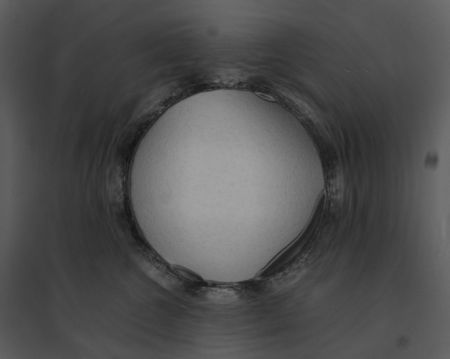 X0000095520572200801041225