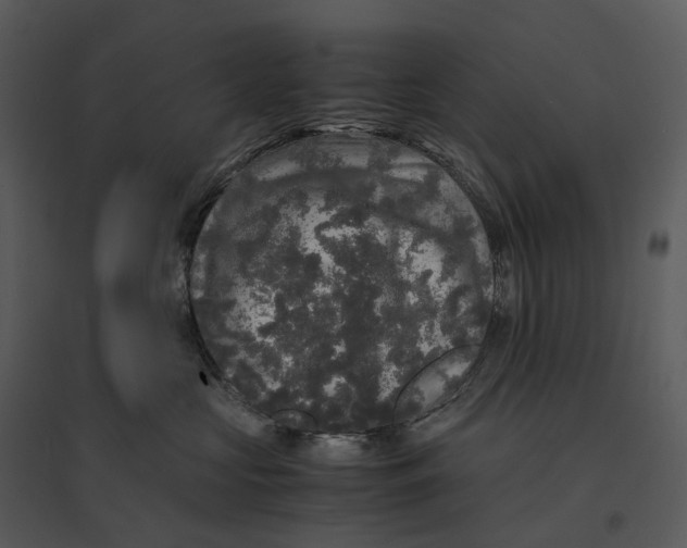 X0000095520573200801041225