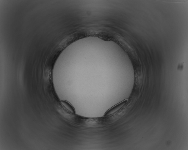 X0000095520574200801041225