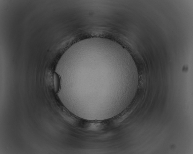 X0000095520575200801041225