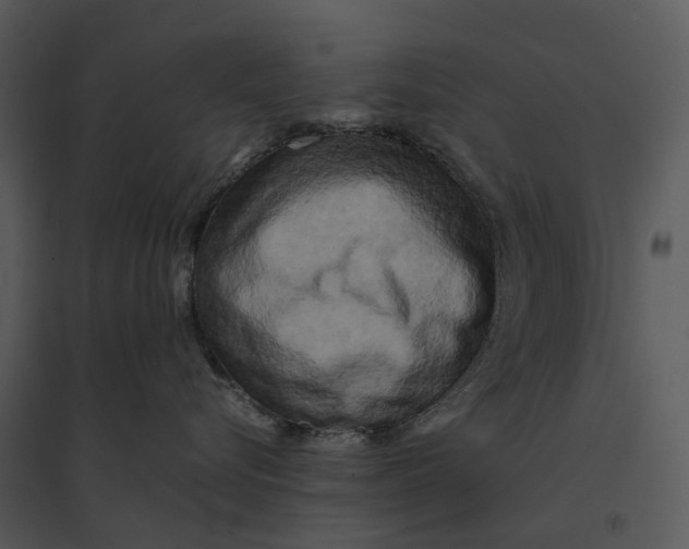 X0000095520576200801041225