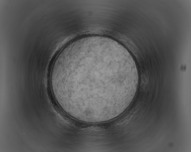 X0000095520578200801041225