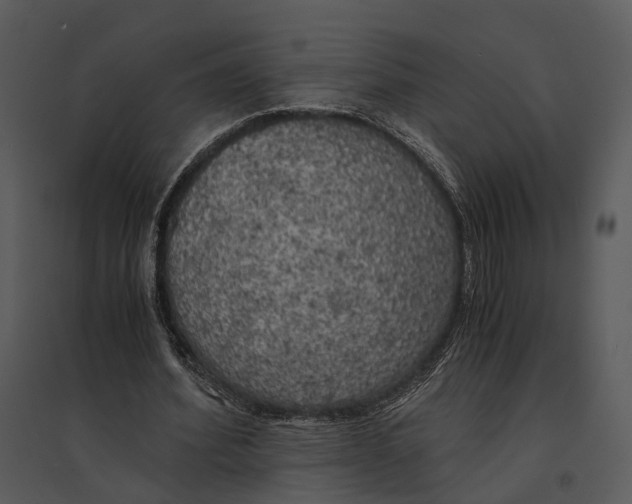 X0000095520580200801041225