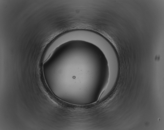 X0000095520581200801041225