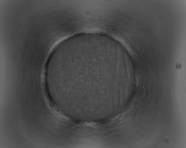 X0000095520583200801041225