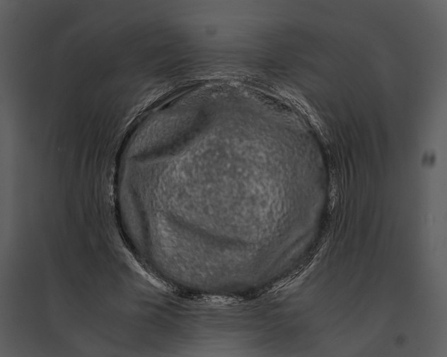 X0000095520585200801041225