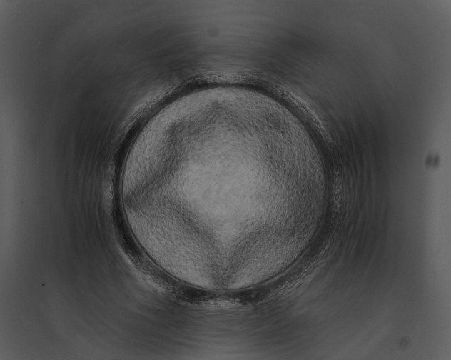 X0000095520586200801041225