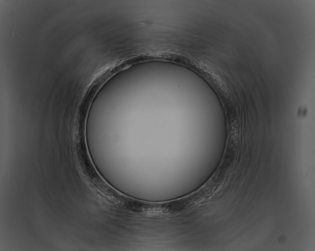 X0000095520587200801041225