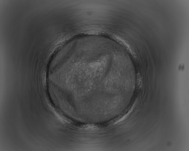 X0000095520589200801041225