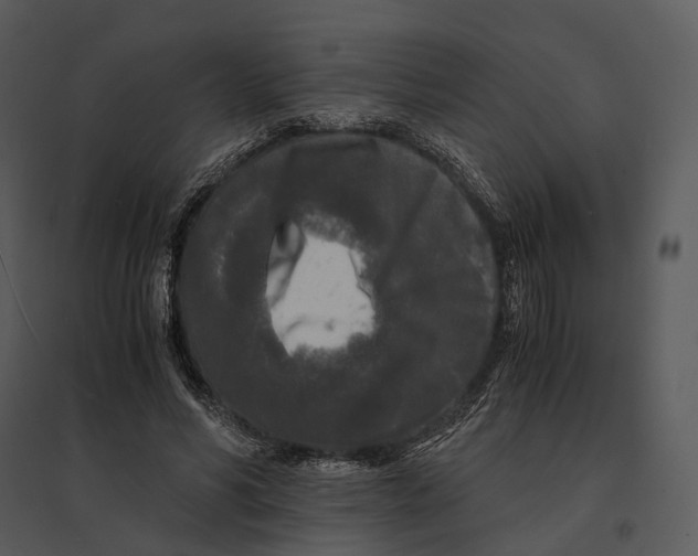 X0000095520590200801041225