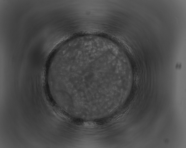 X0000095520591200801041225