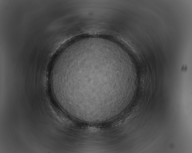 X0000095520592200801041225