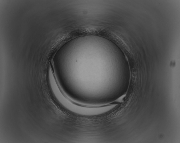 X0000095520593200801041225