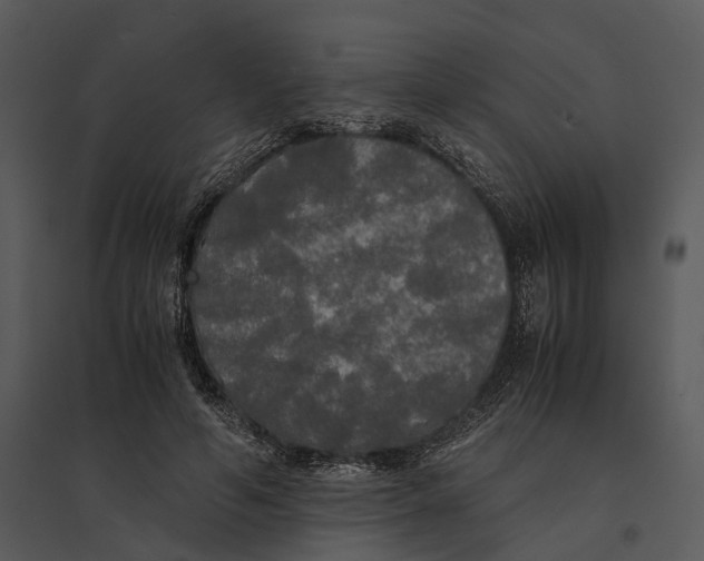 X0000095520594200801041225