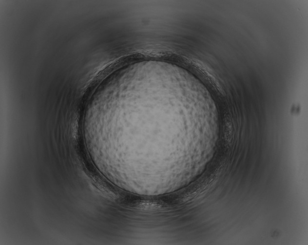 X0000095520596200801041225