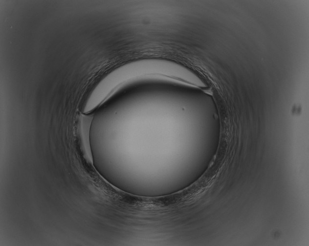 X0000095520597200801041225