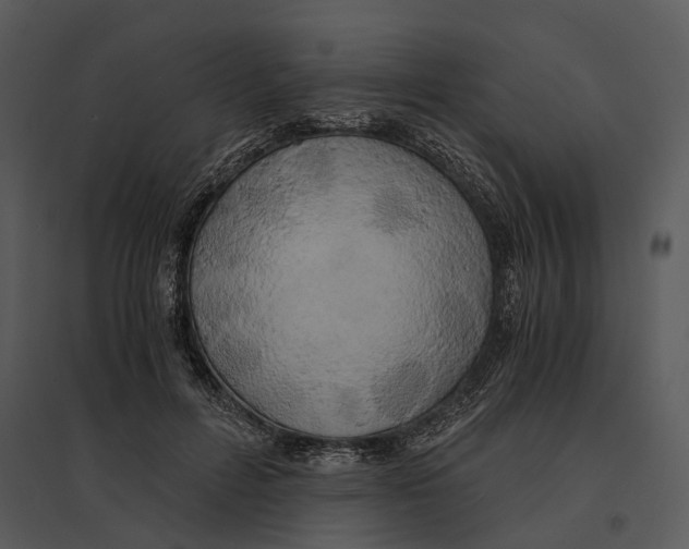 X0000095520600200801041224