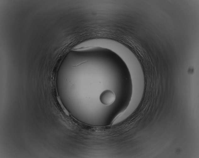 X0000095520601200801041224