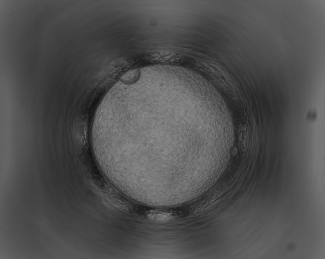 X0000095520602200801041224