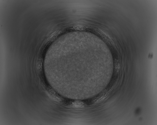 X0000095520603200801041224