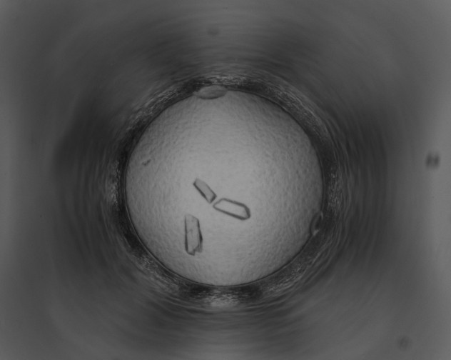 X0000095520604200801041224