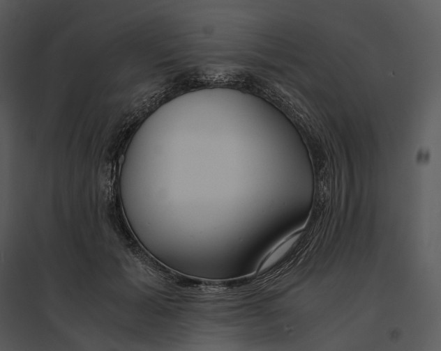 X0000095520605200801041224